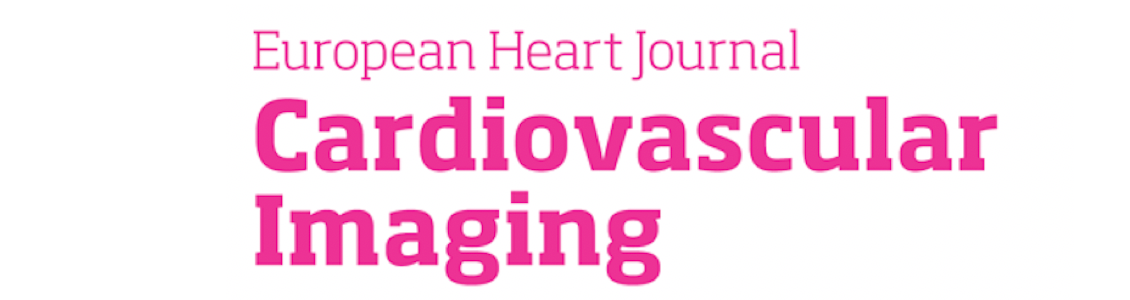 Ten-year longitudinal change in aortic stiffness assessed by cardiac MRI in the second half of the human lifespan: the multi-ethnic study of atherosclerosis